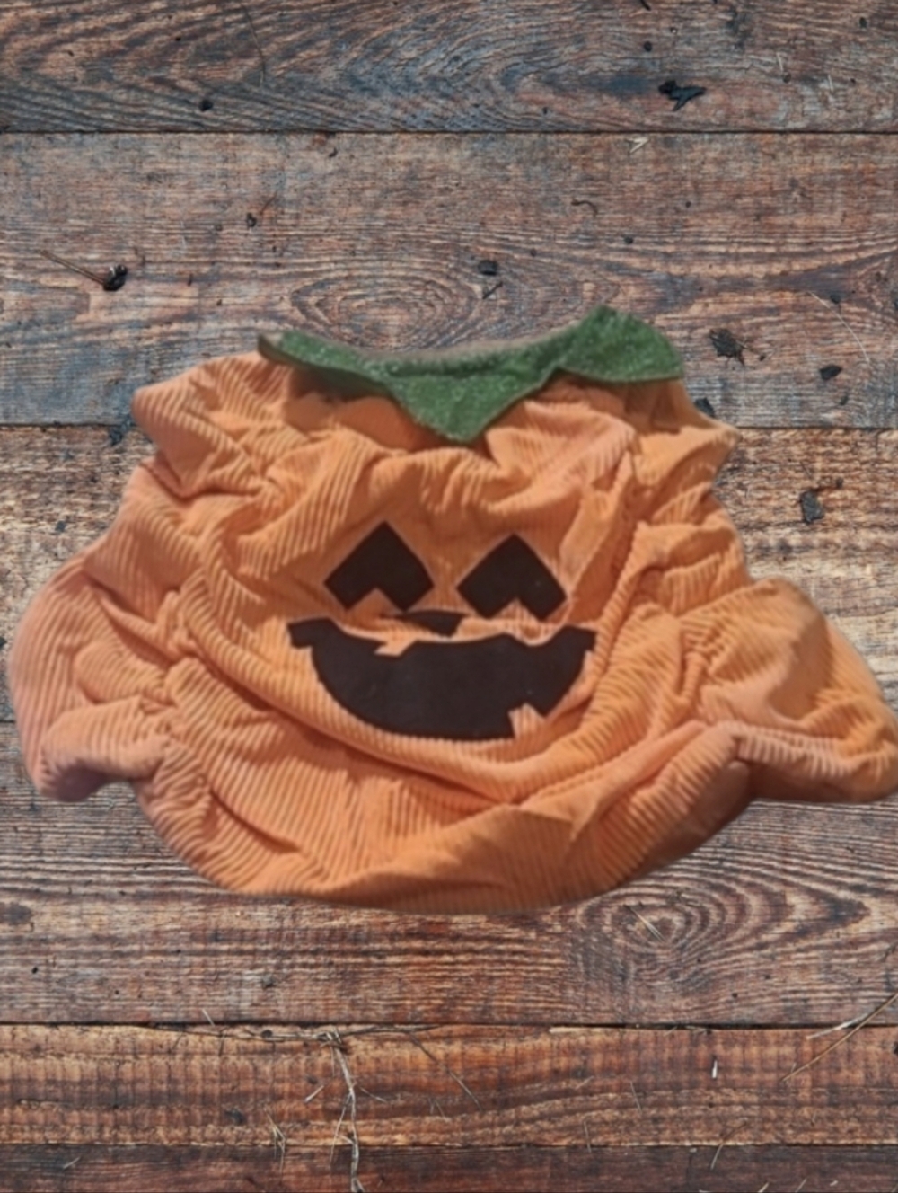 DOG HALLOWEEN BOOTIQUE PUMPKIN COSTUME